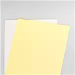 Een Xerox Papier Digital Carbonless A4 2-voud 80 g/m2 Wit /5 x 250 sets (2500 sh) koop je bij Company Supplies